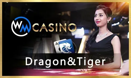 Taya365 Sports Betting